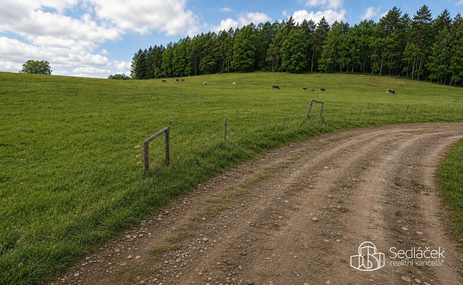 Prodej pozemku 1197412 m² - foto 4