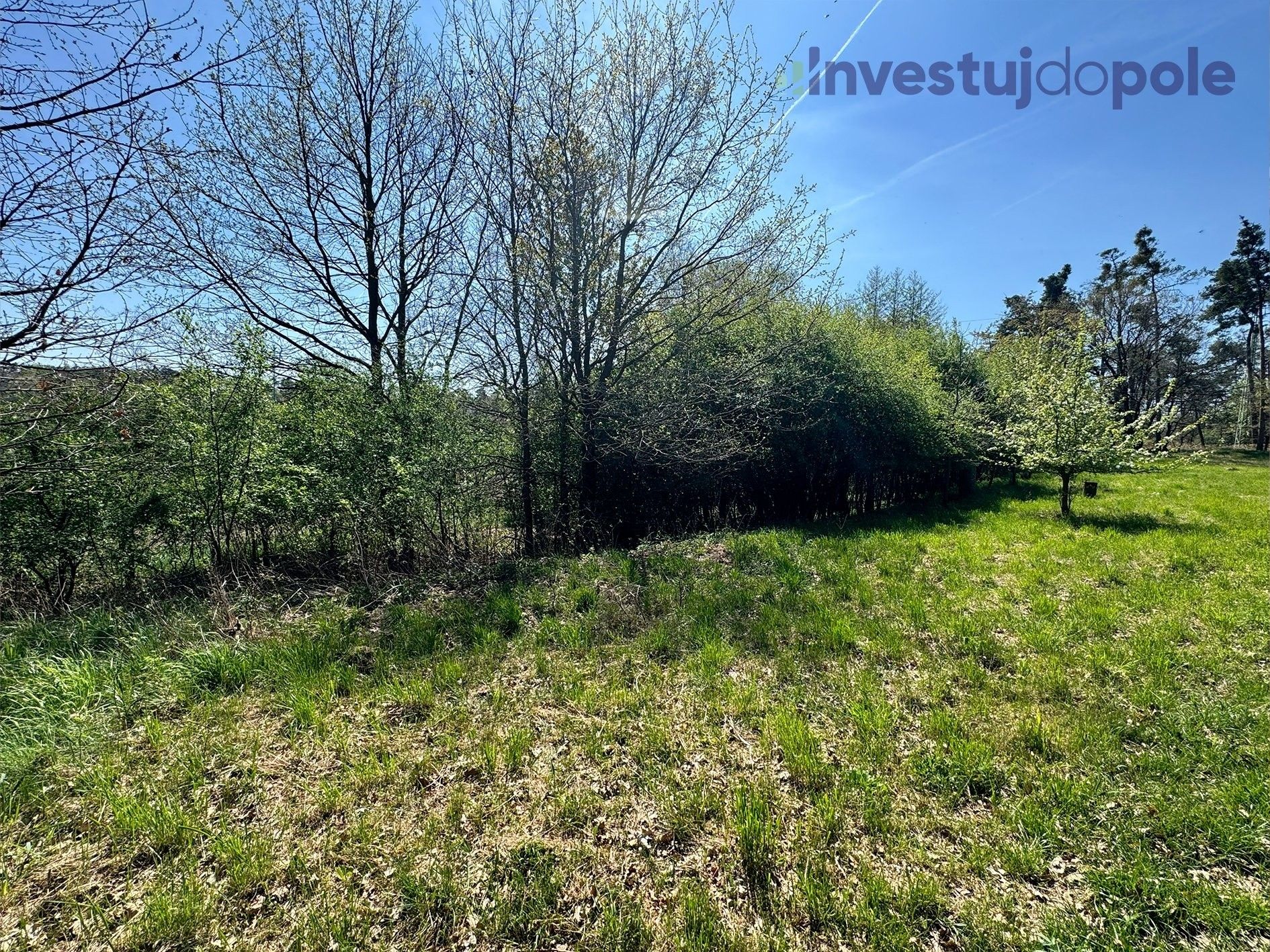 Prodej pozemku 7161 m² - foto 11