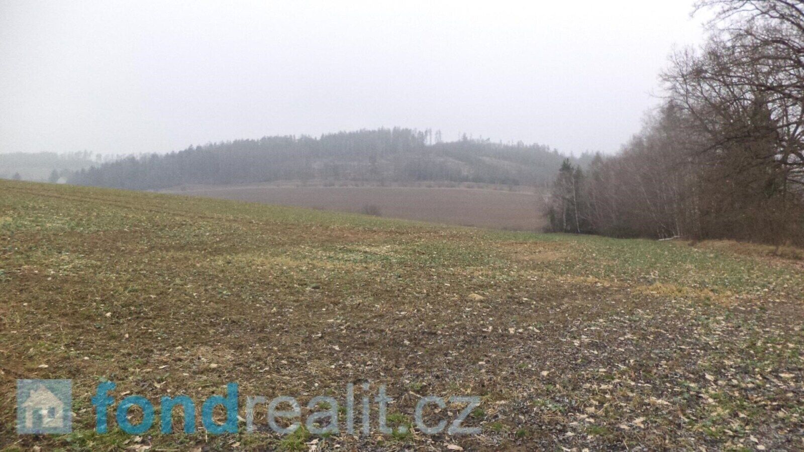 Prodej pozemku 51947 m² - foto 4