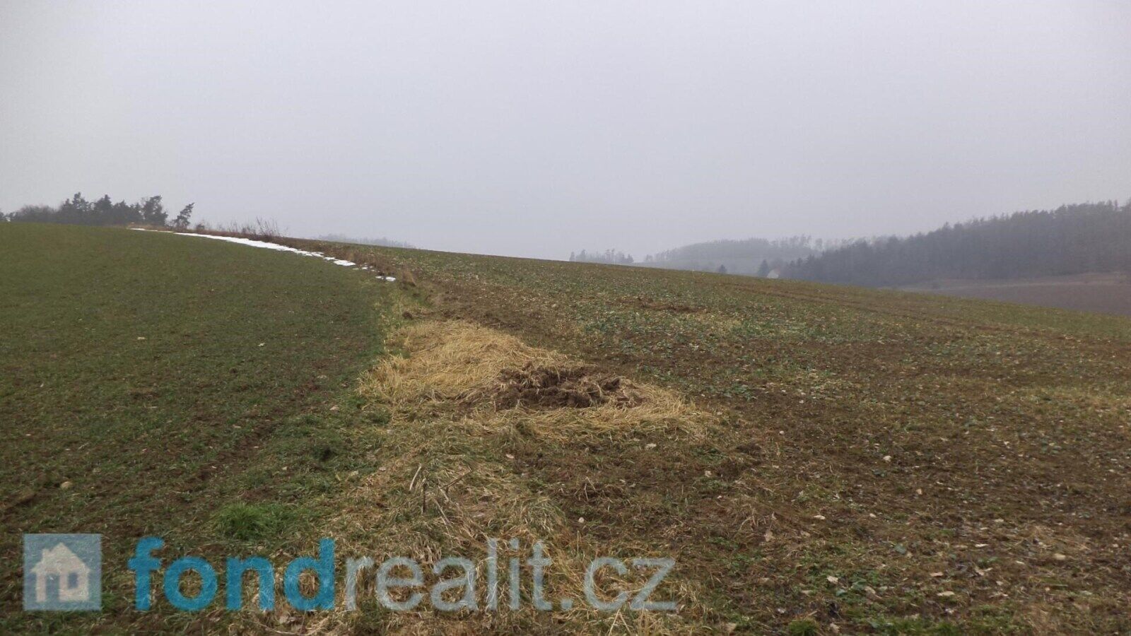 Prodej pozemku 51947 m² - foto 5