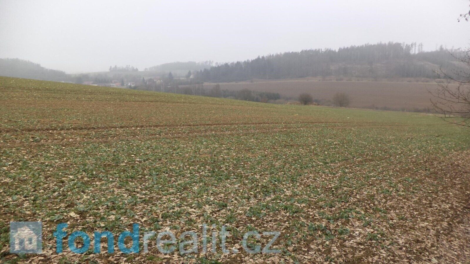 Prodej pozemku 51947 m² - foto 6