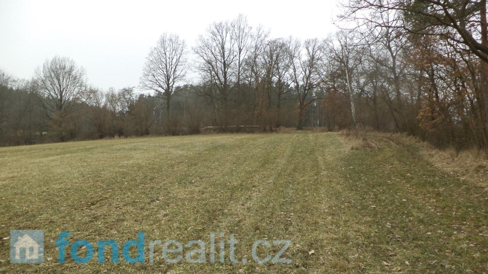 Prodej pozemku 51947 m² - foto 8