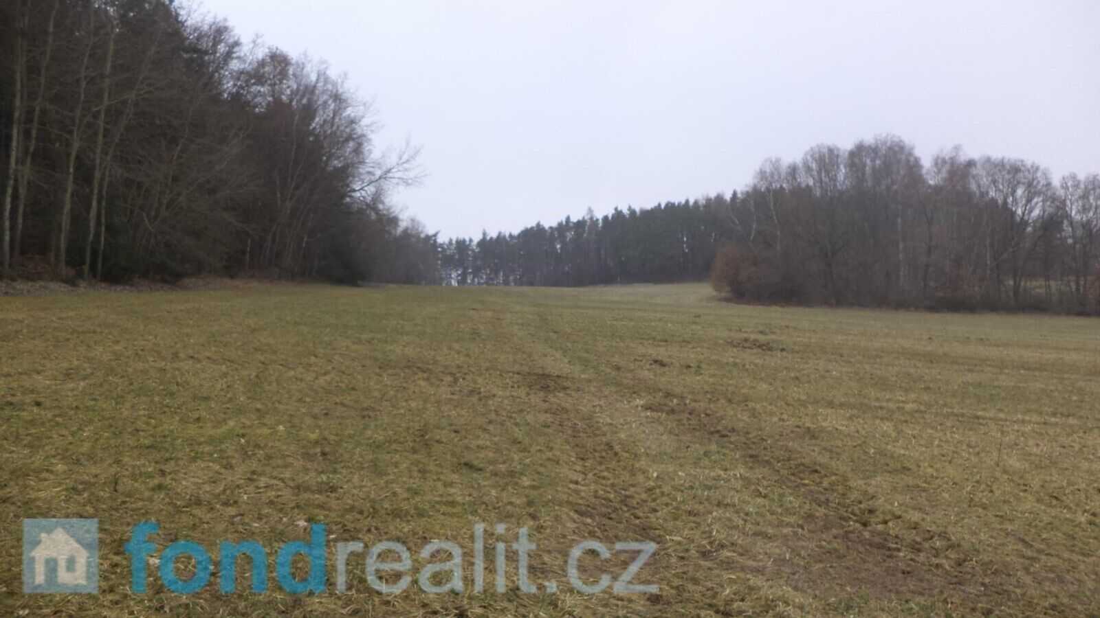 Prodej pozemku 51947 m² - foto 9