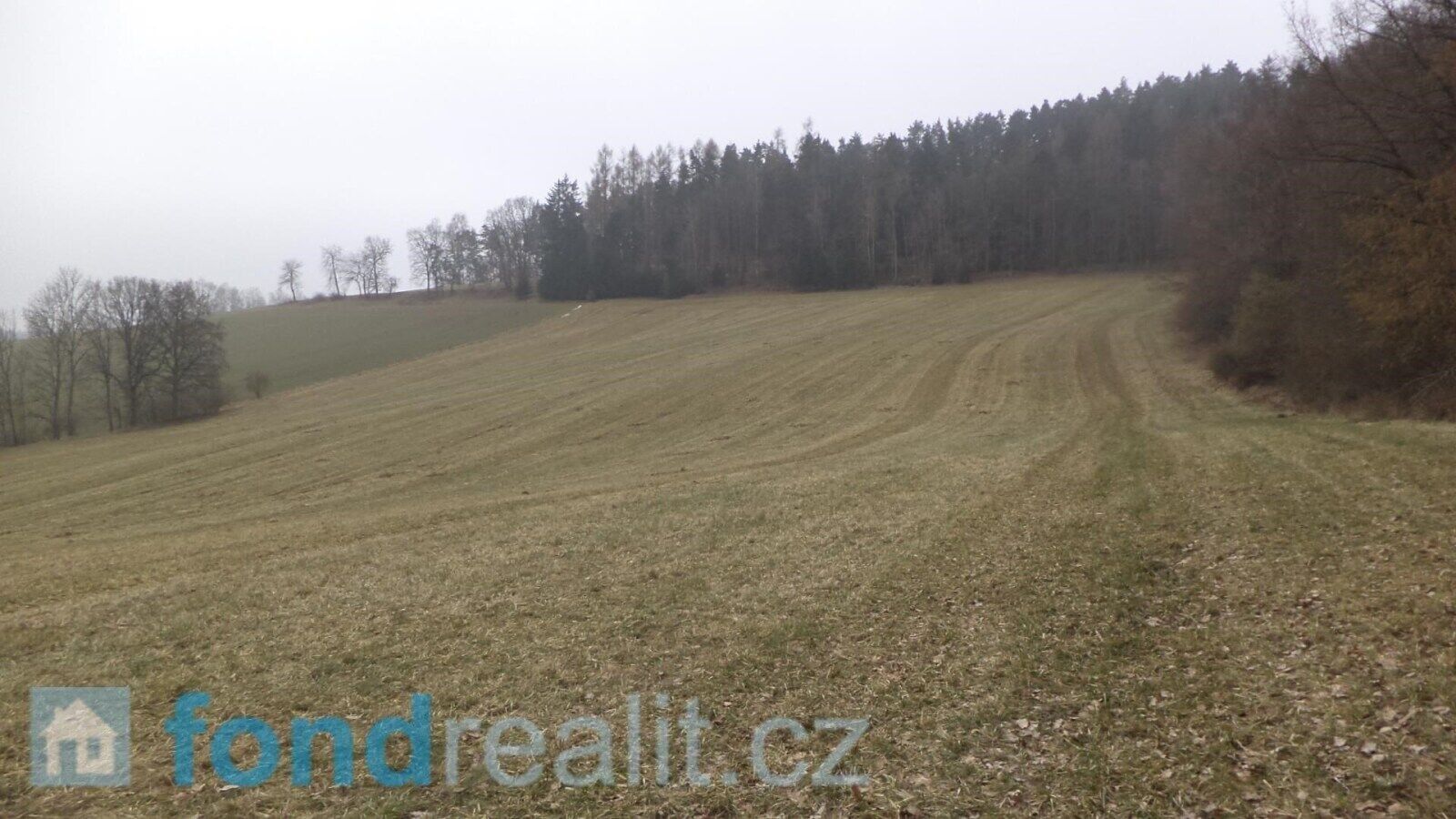 Prodej pozemku 51947 m² - foto 11