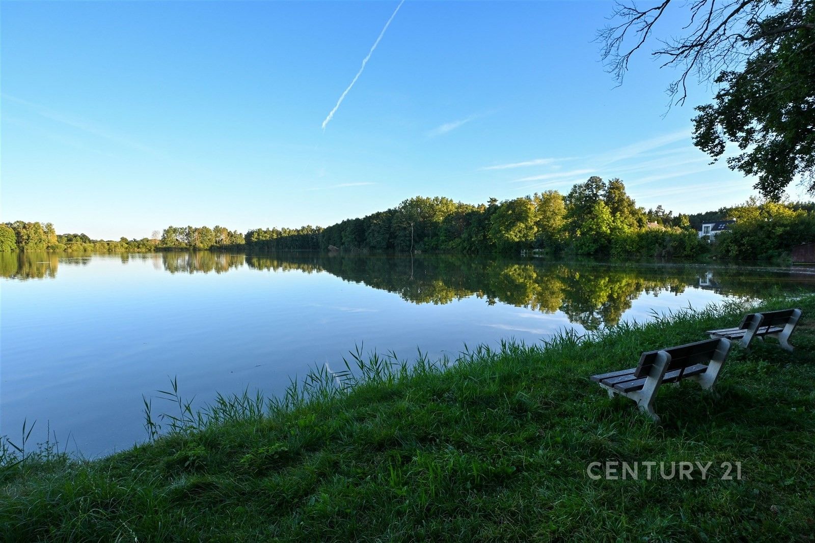 Prodej domu 430 m² - foto 19