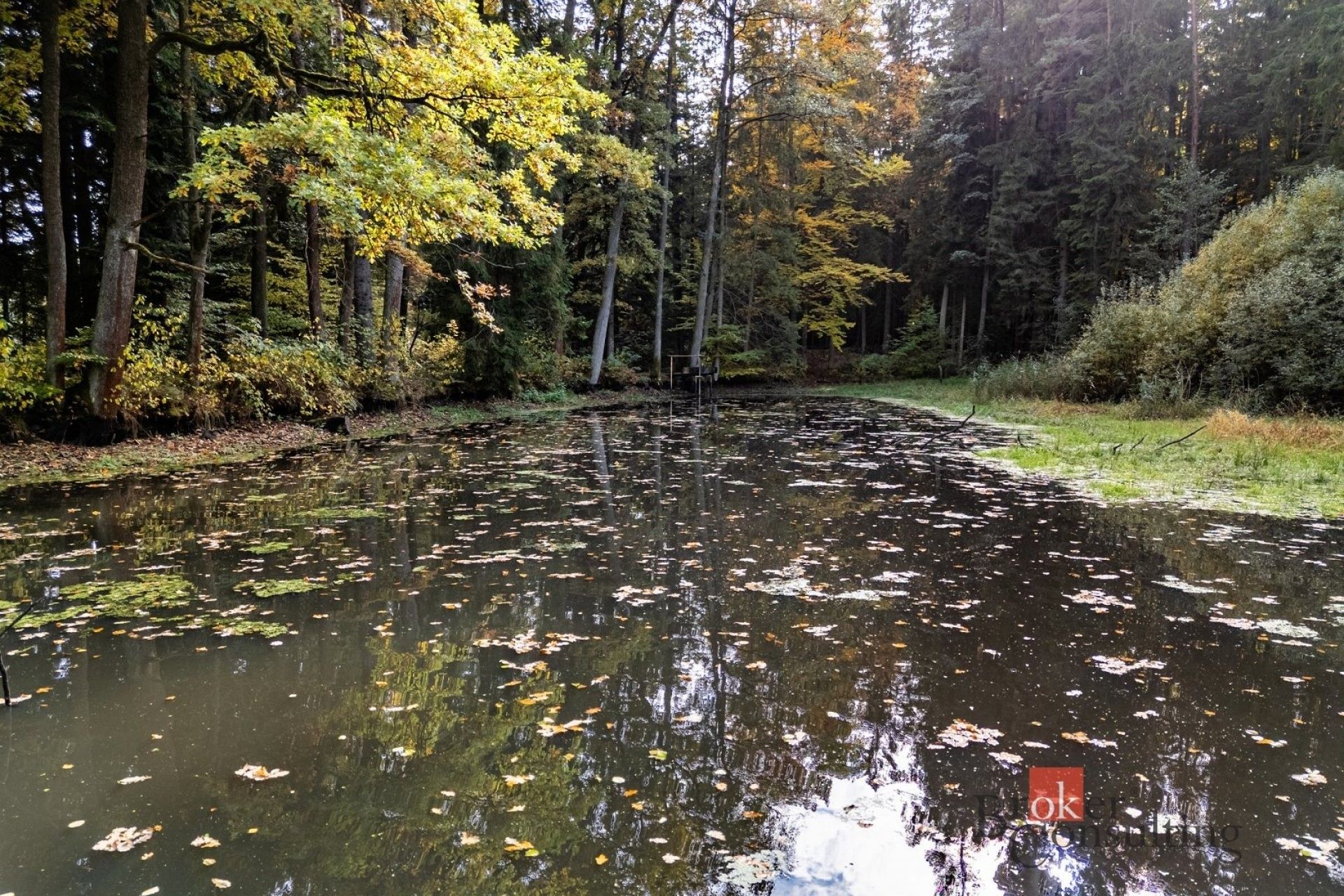 Prodej nemovitosti 64790 m² - foto 10