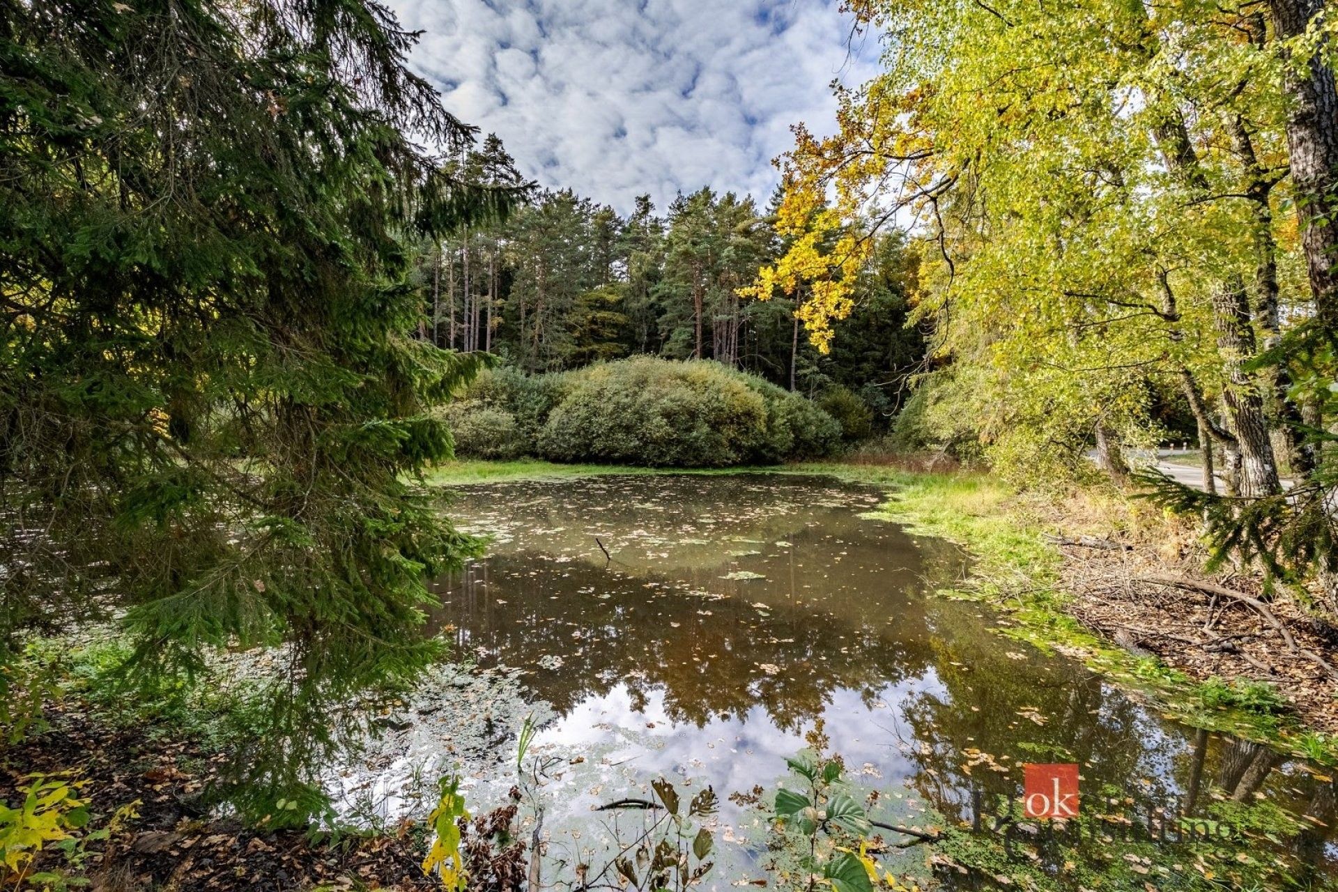 Prodej nemovitosti 64790 m² - foto 11