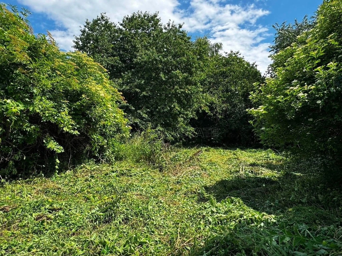 Prodej domu 370 m² - foto 23