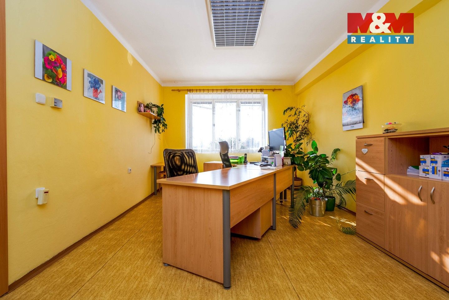 Prodej domu 874 m² - foto 8