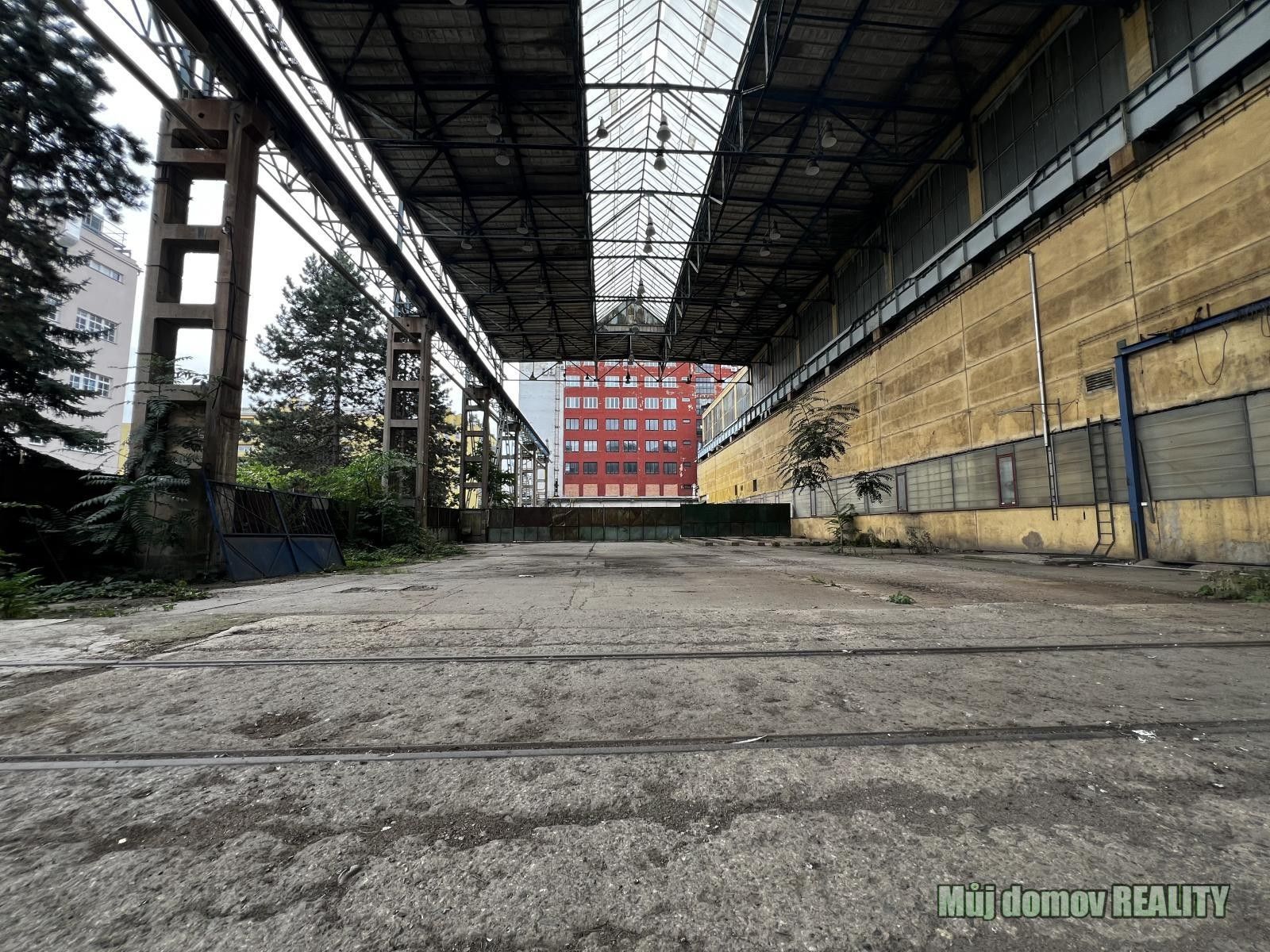 Pronájem pozemku 1900 m² - foto 3