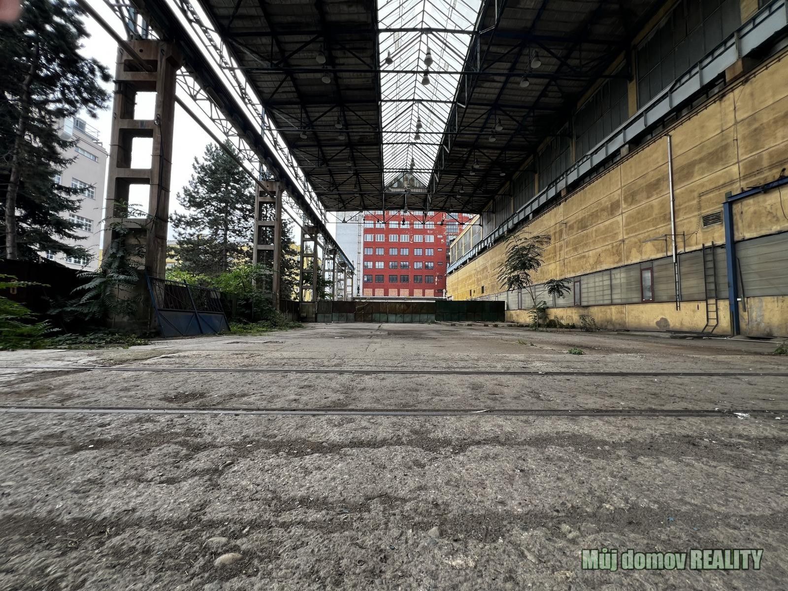 Pronájem pozemku 1900 m² - foto 4