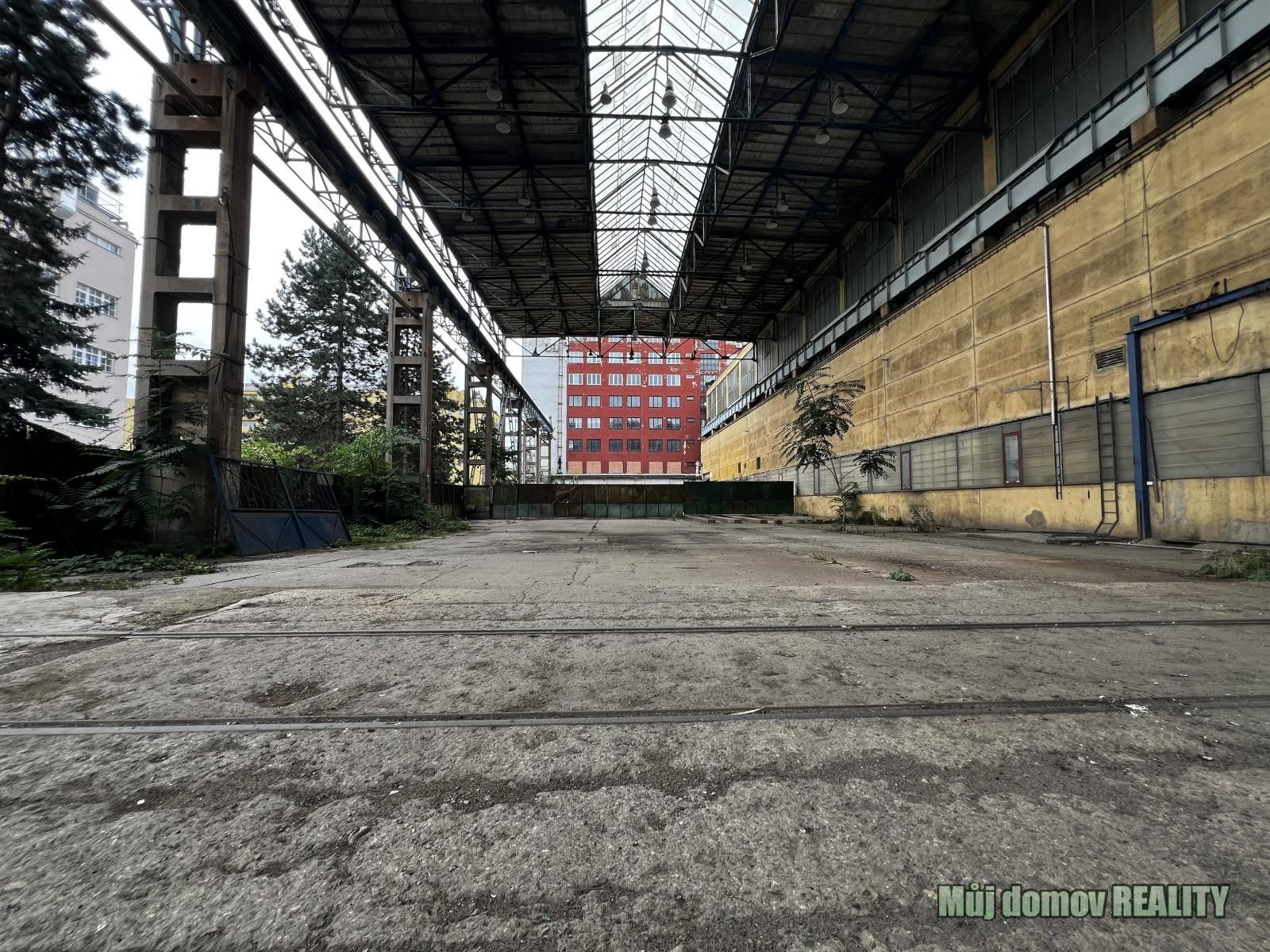 Pronájem pozemku 1900 m² - foto 6