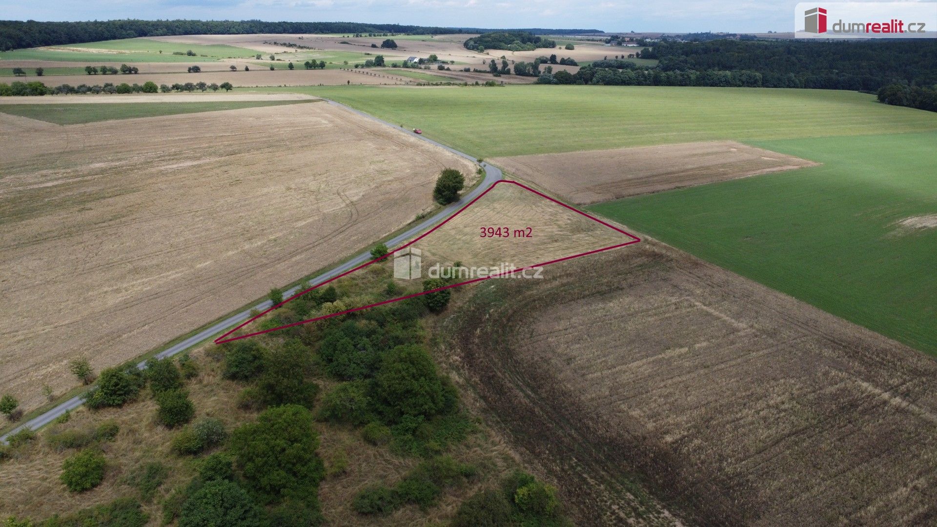 Prodej nemovitosti 3943 m² - foto 3