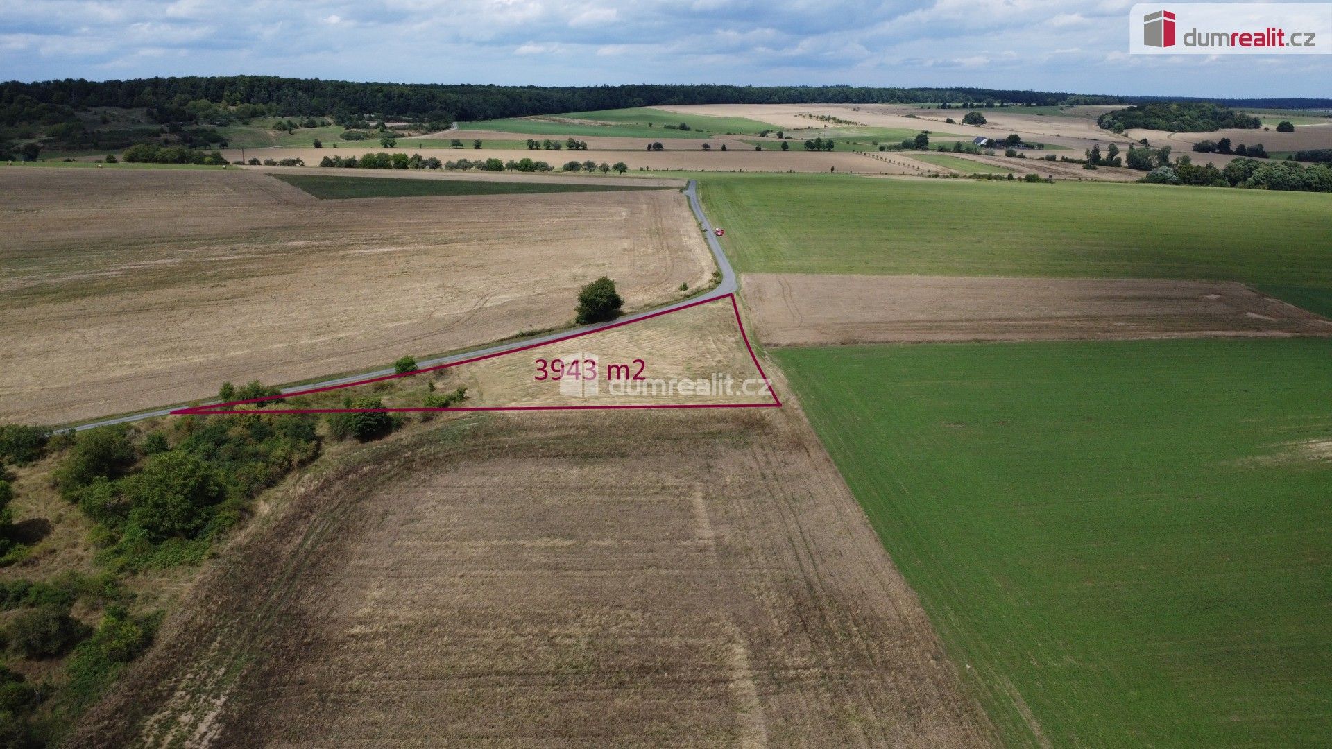 Prodej nemovitosti 3943 m² - foto 4