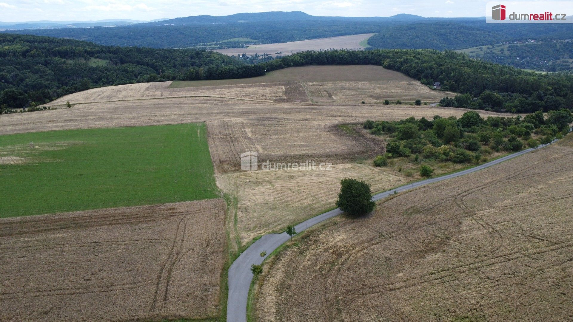 Prodej nemovitosti 3943 m² - foto 6
