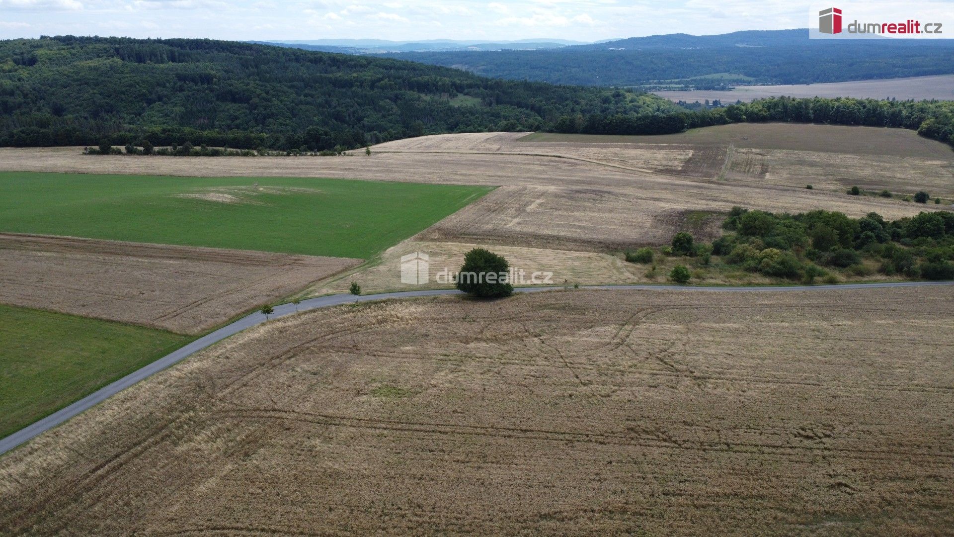Prodej nemovitosti 3943 m² - foto 7