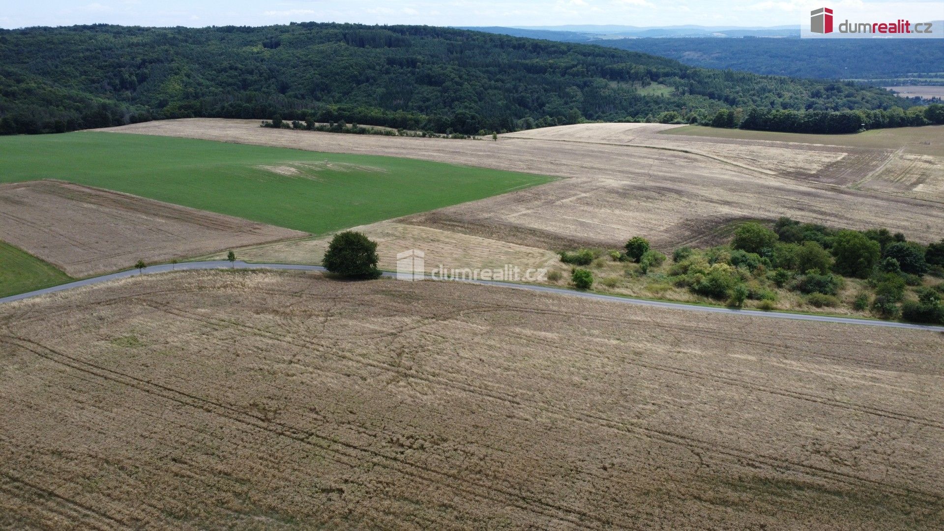 Prodej nemovitosti 3943 m² - foto 8