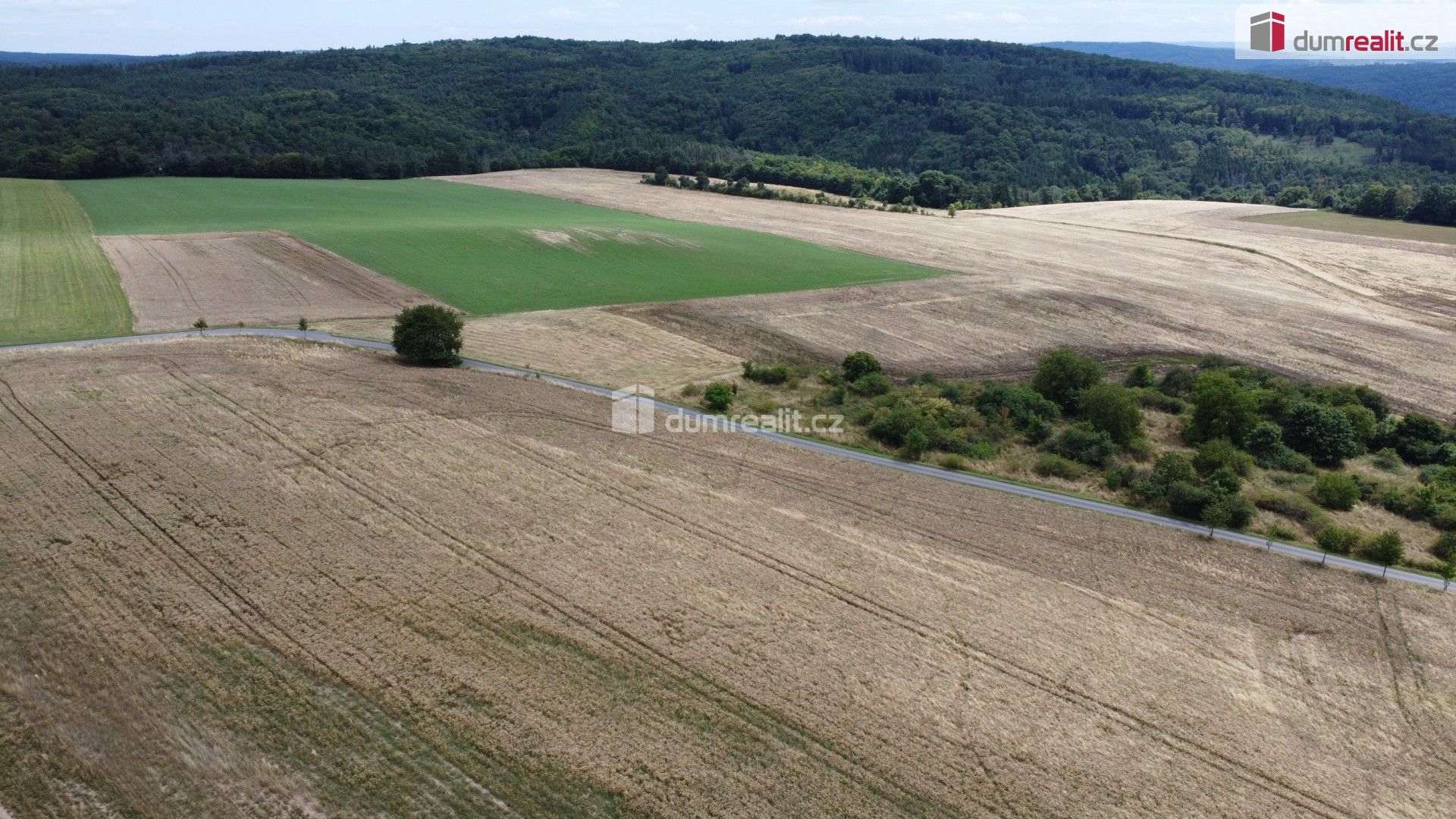 Prodej nemovitosti 3943 m² - foto 9