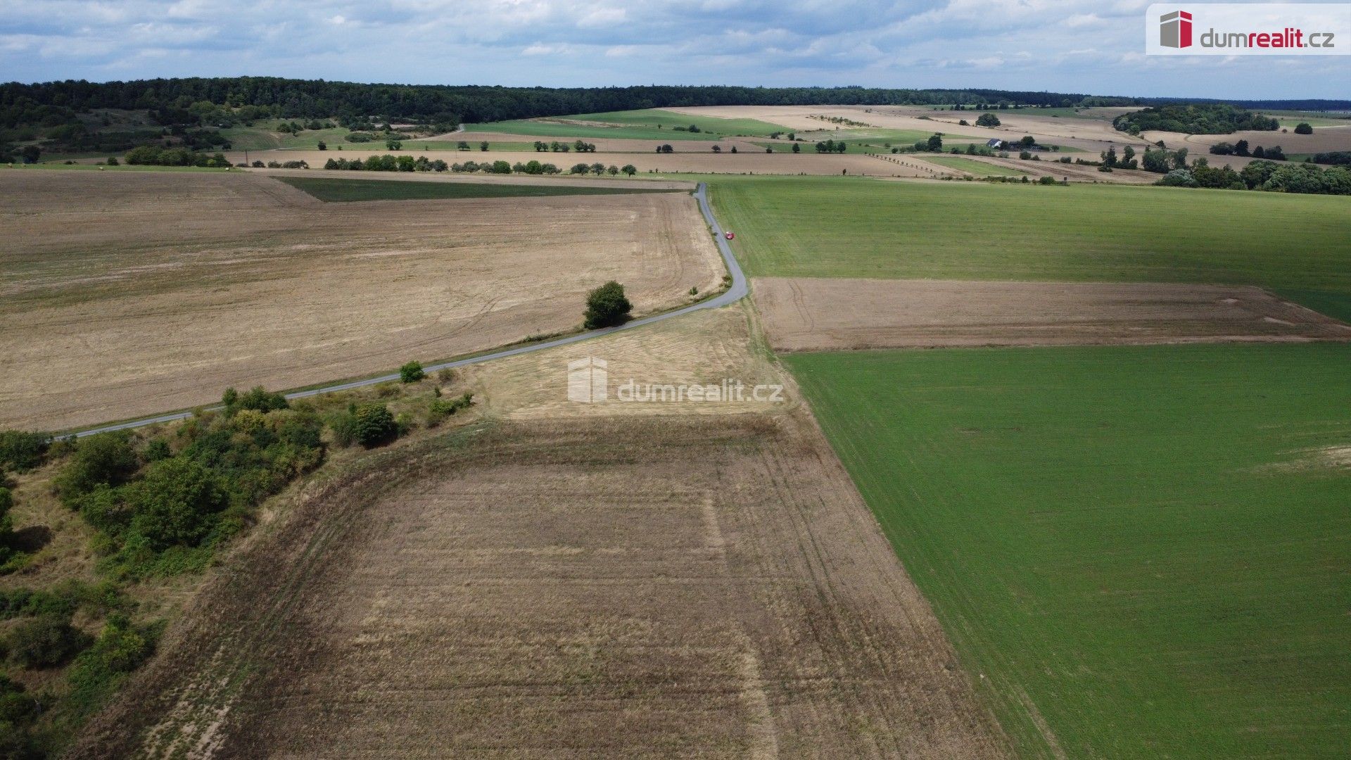 Prodej nemovitosti 3943 m² - foto 12