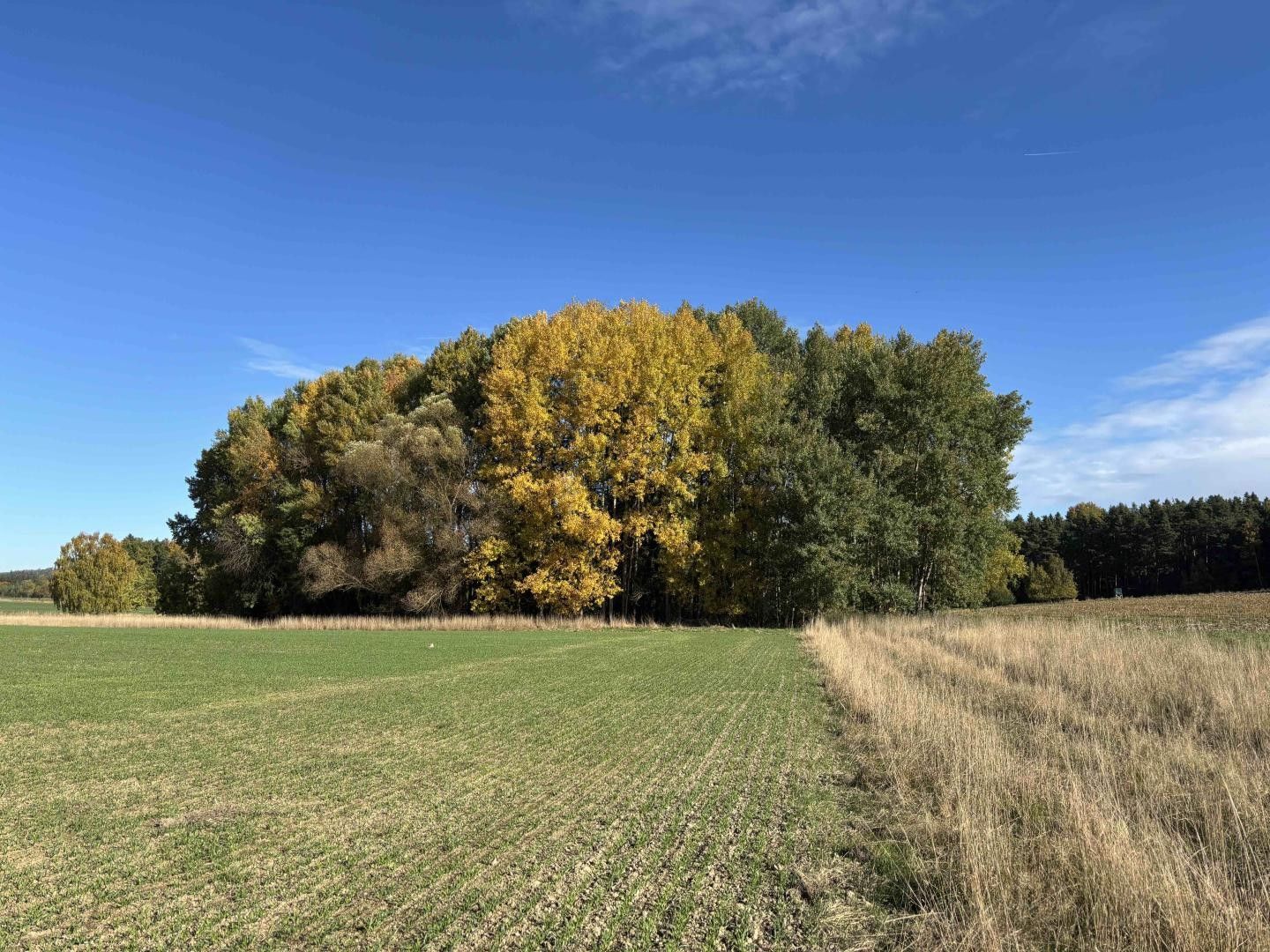 Prodej nemovitosti - foto 1