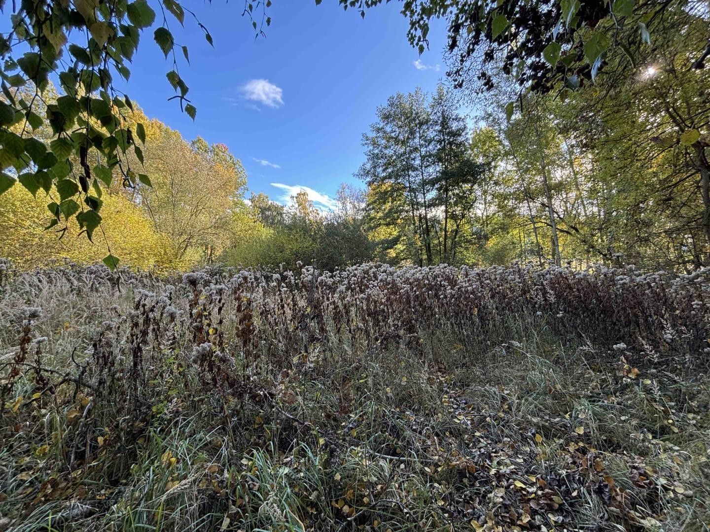 Prodej nemovitosti - foto 10