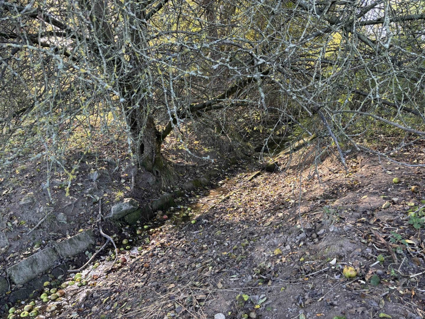 Prodej nemovitosti - foto 11
