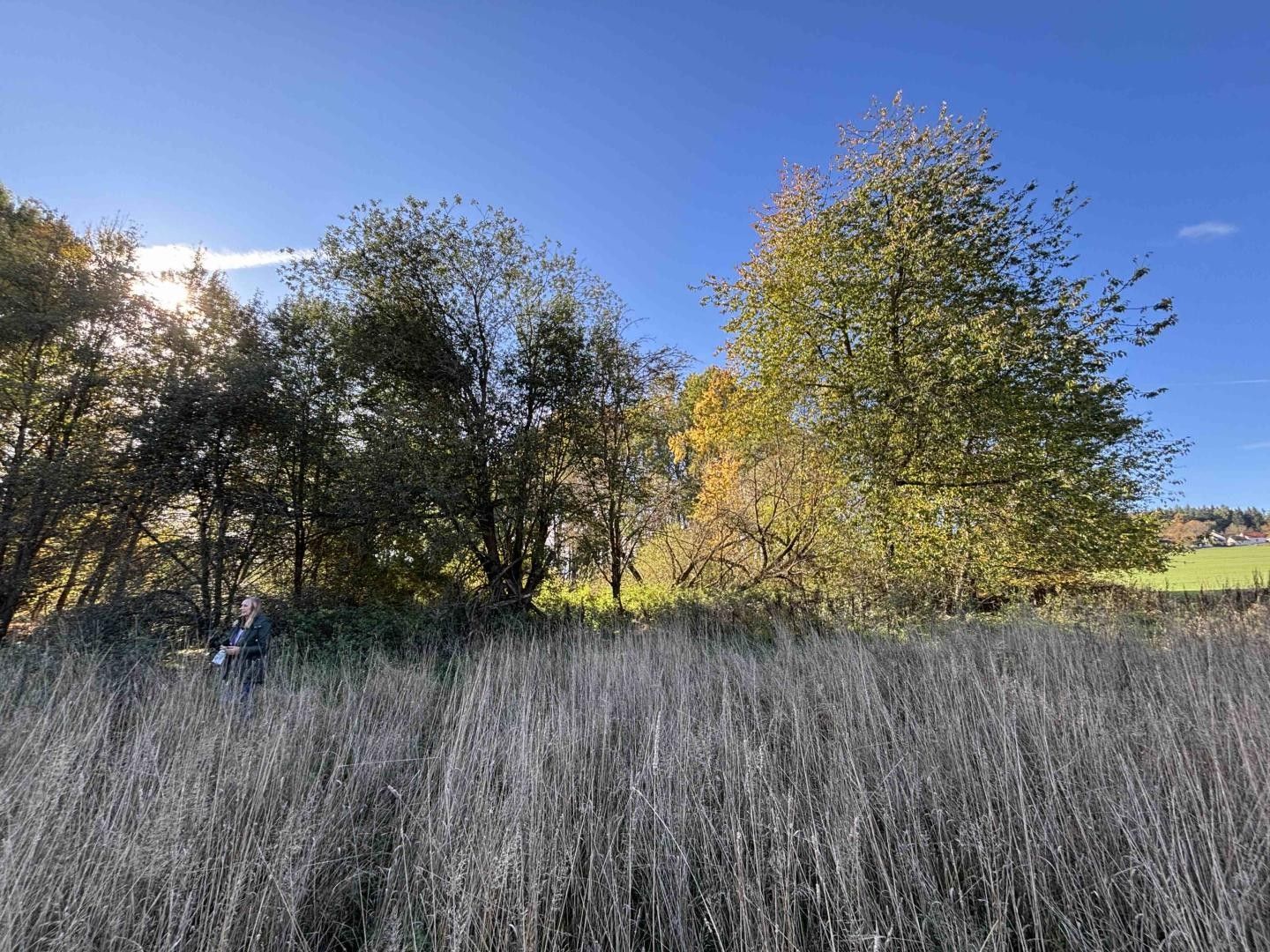 Prodej nemovitosti - foto 14