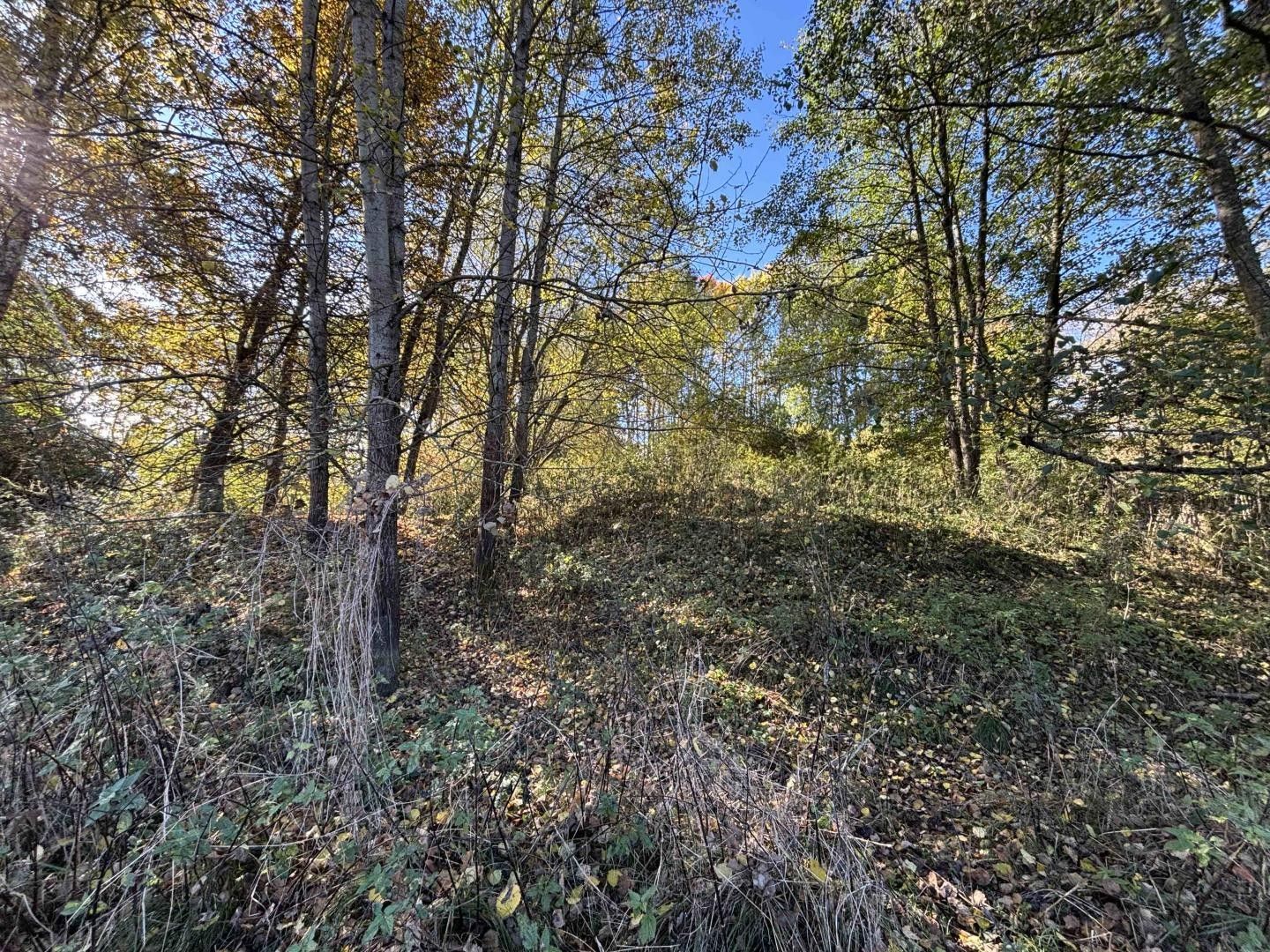 Prodej nemovitosti - foto 16