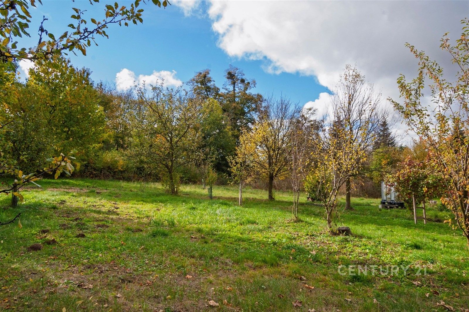 Prodej pozemku 4680 m² - foto 6