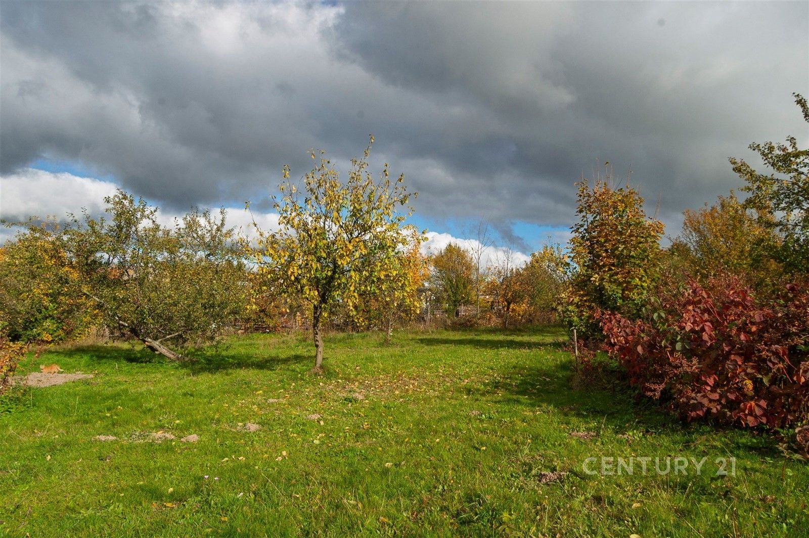 Prodej pozemku 4680 m² - foto 9