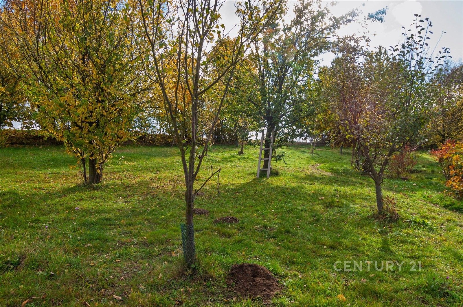 Prodej pozemku 4680 m² - foto 10