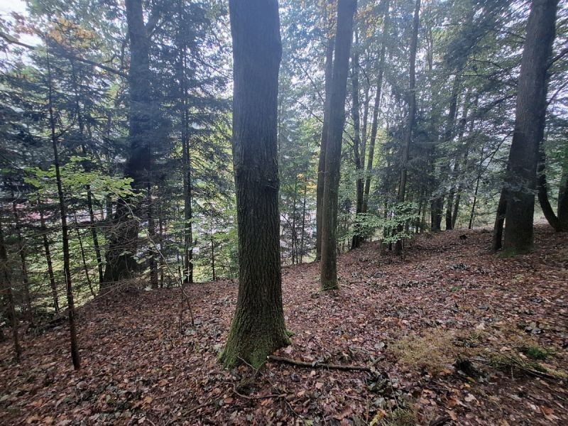 Prodej pozemku 1237 m² - foto 3