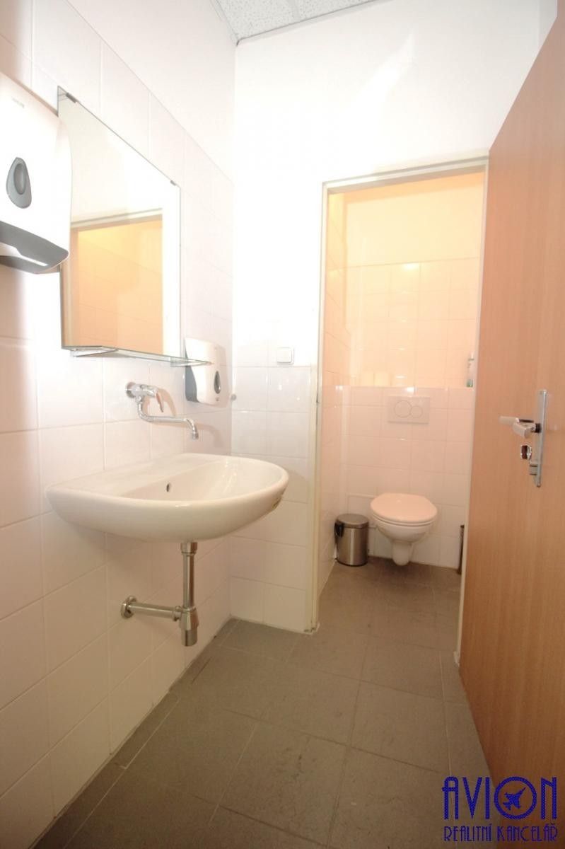 Pronájem komerčního prostoru 103 m² - foto 9