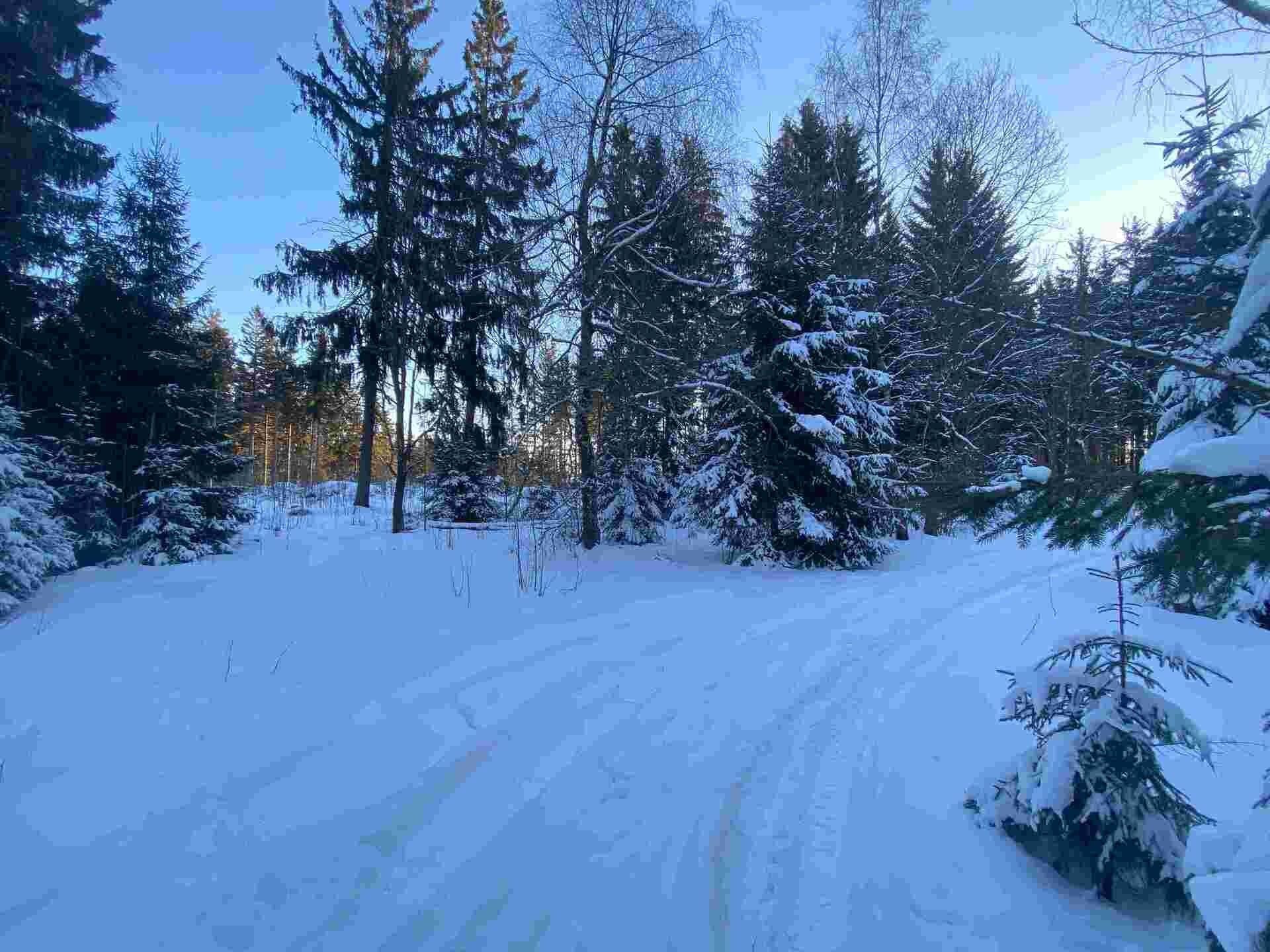 Prodej nemovitosti 1080 m² - foto 2