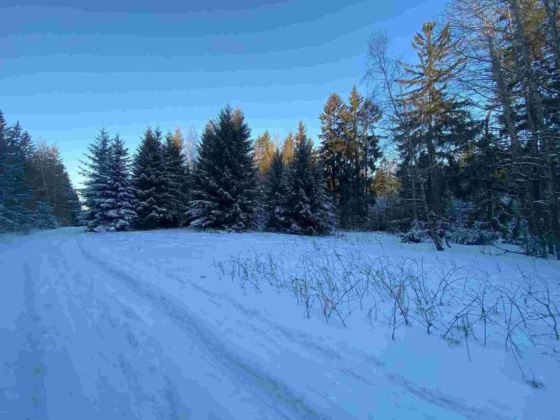 Prodej nemovitosti 1080 m² - foto 3