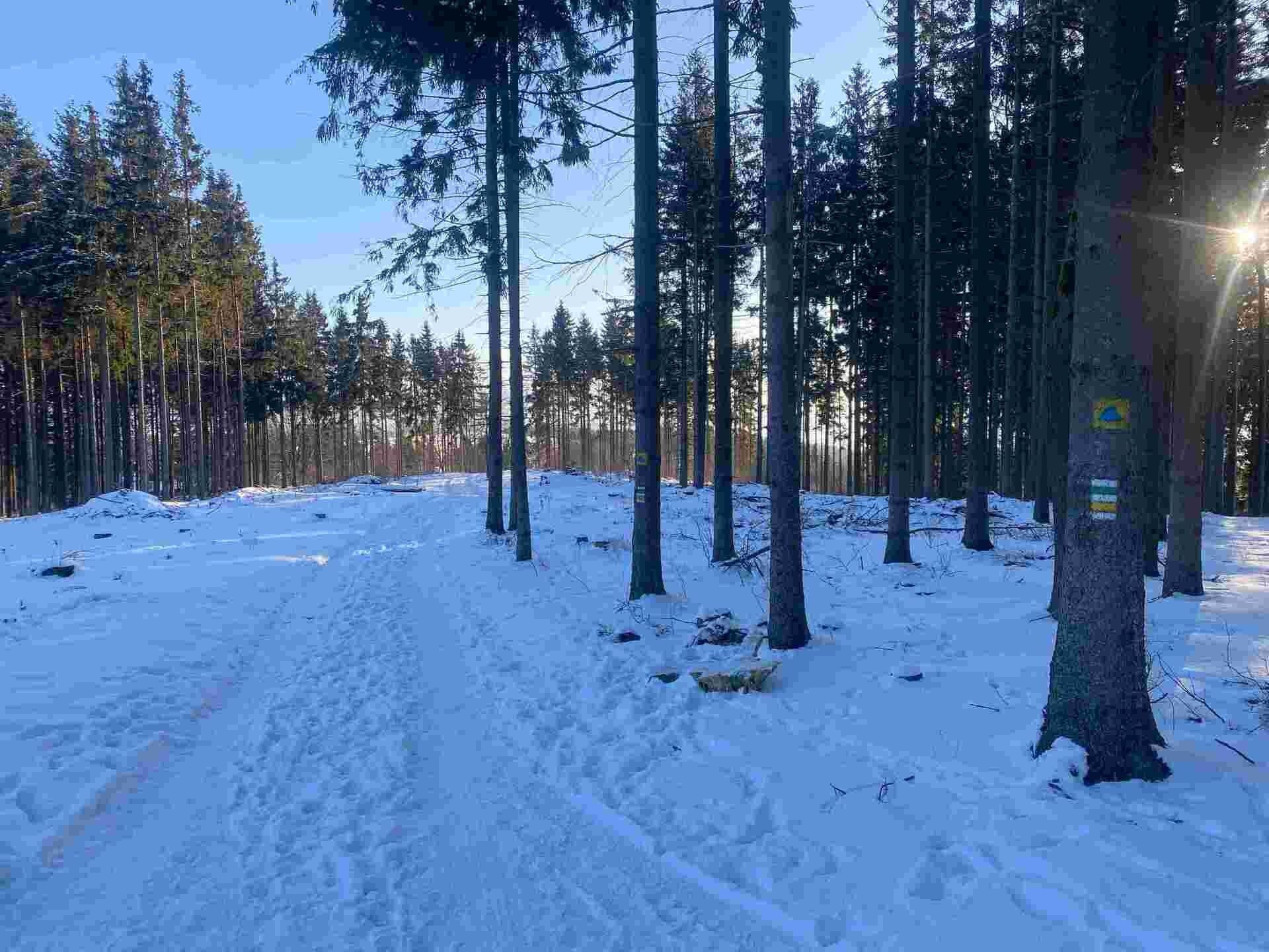 Prodej nemovitosti 1080 m² - foto 4