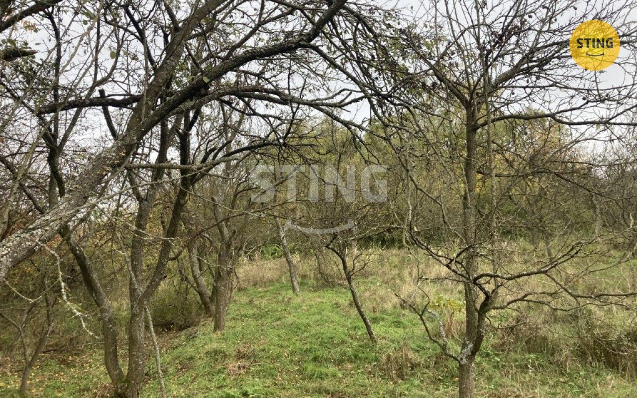 Prodej nemovitosti 4839 m² - foto 3