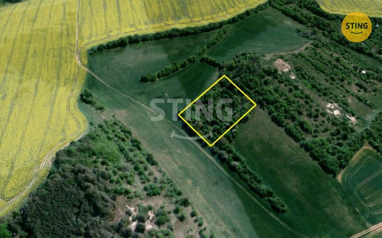 Prodej nemovitosti 4839 m² - foto 5
