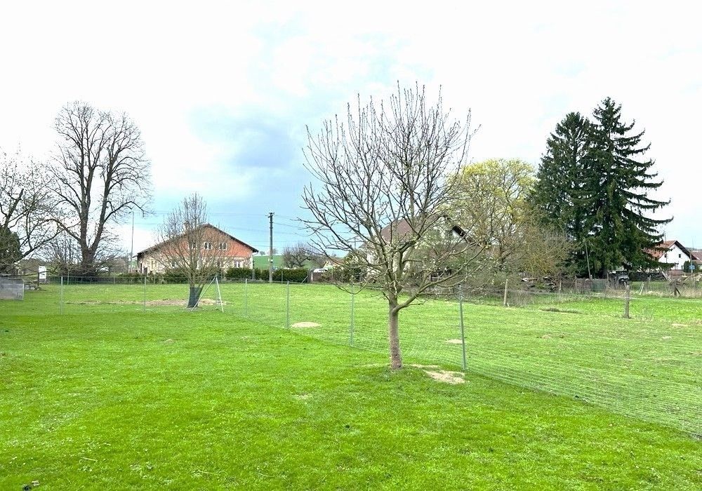 Prodej pozemku 882 m² - foto 8