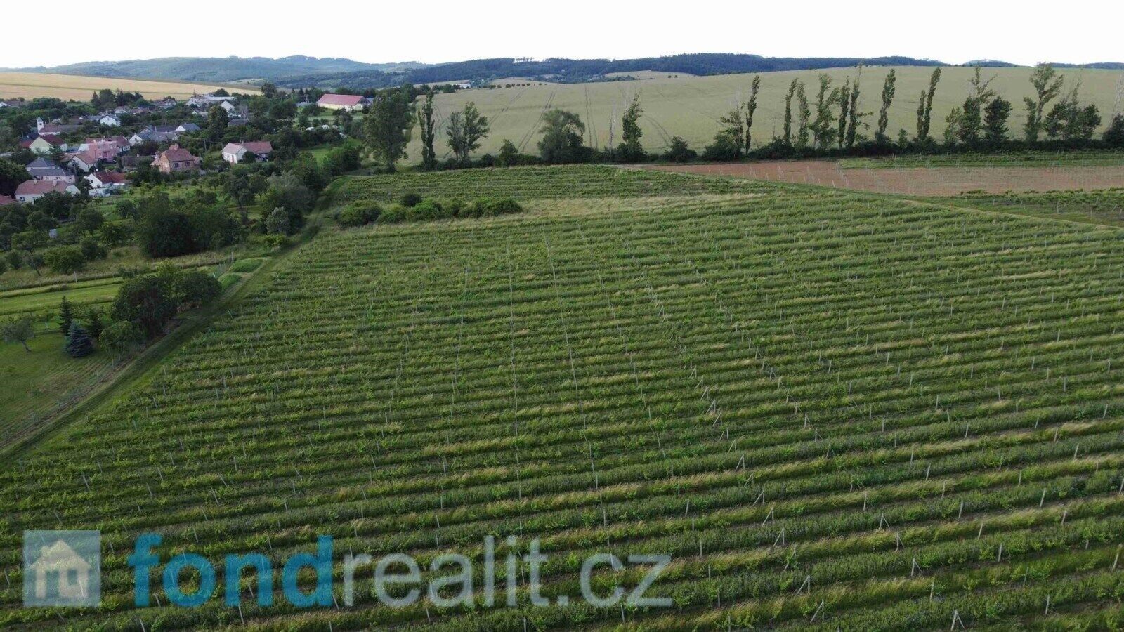 Prodej nemovitosti 7374 m² - foto 3