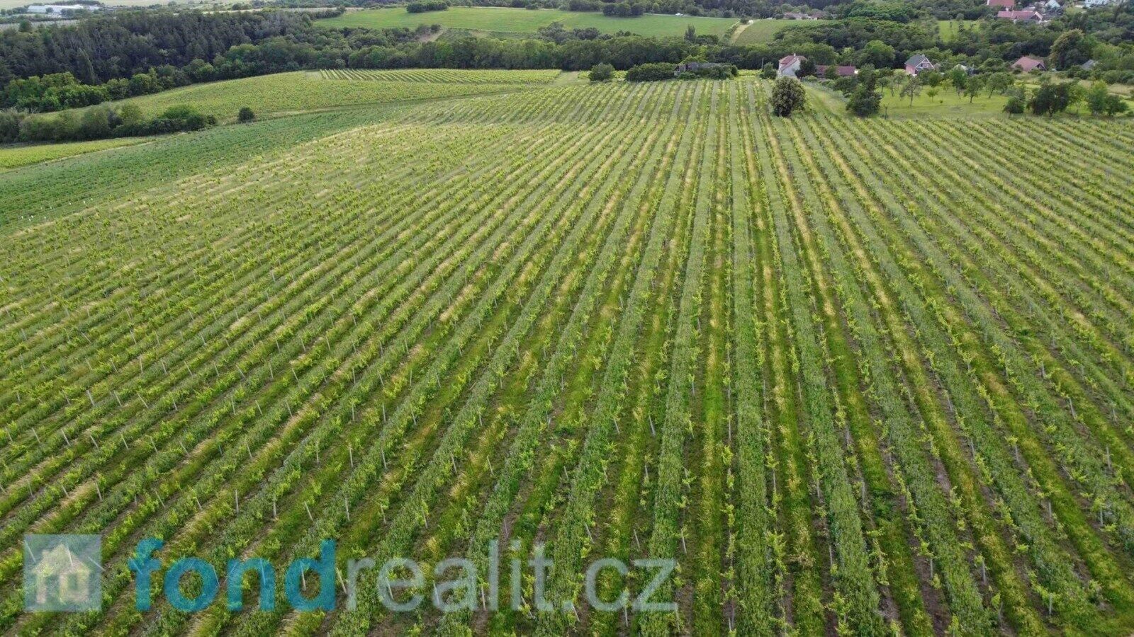 Prodej nemovitosti 7374 m² - foto 4