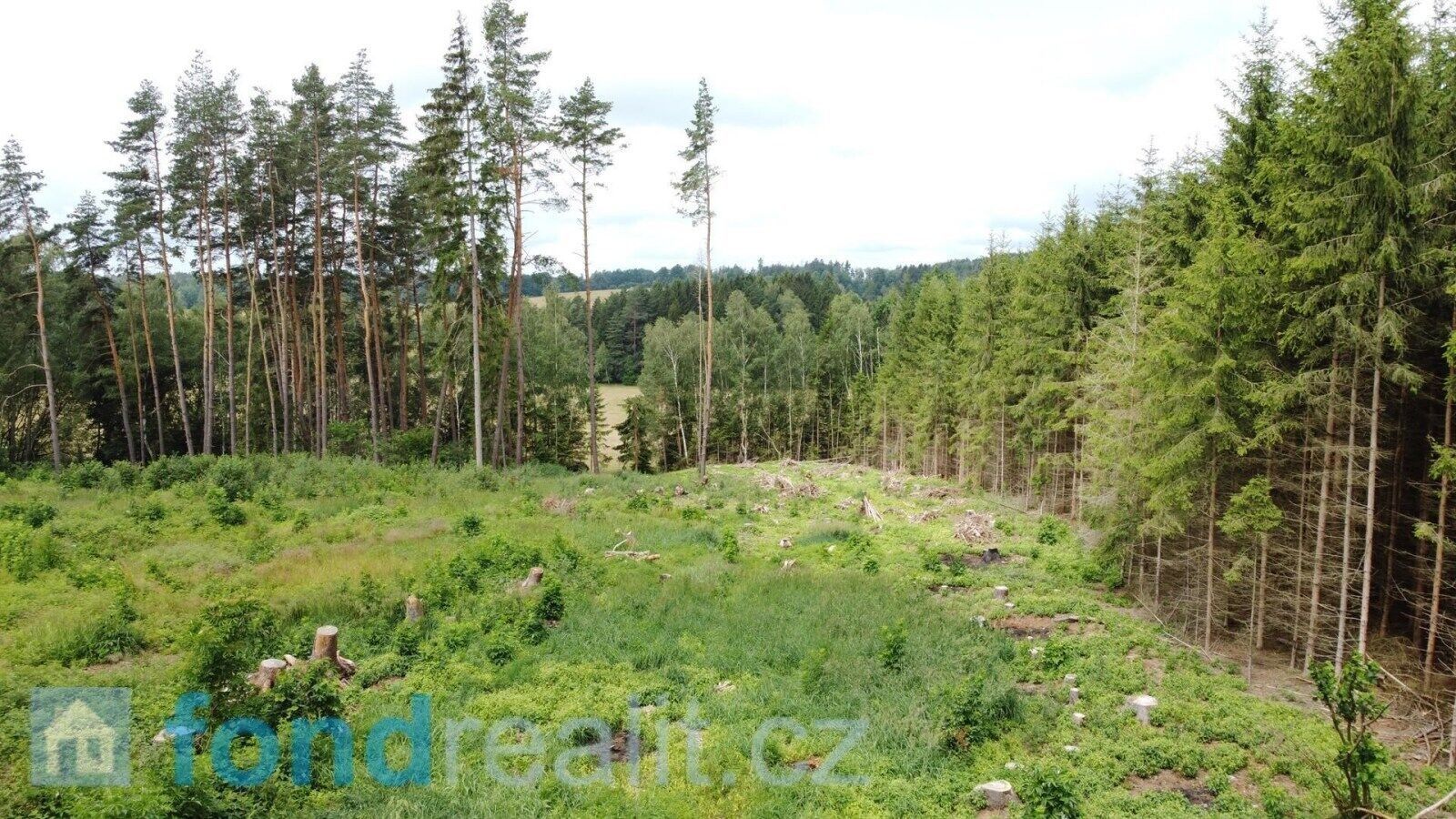 Prodej nemovitosti 10789 m² - foto 5