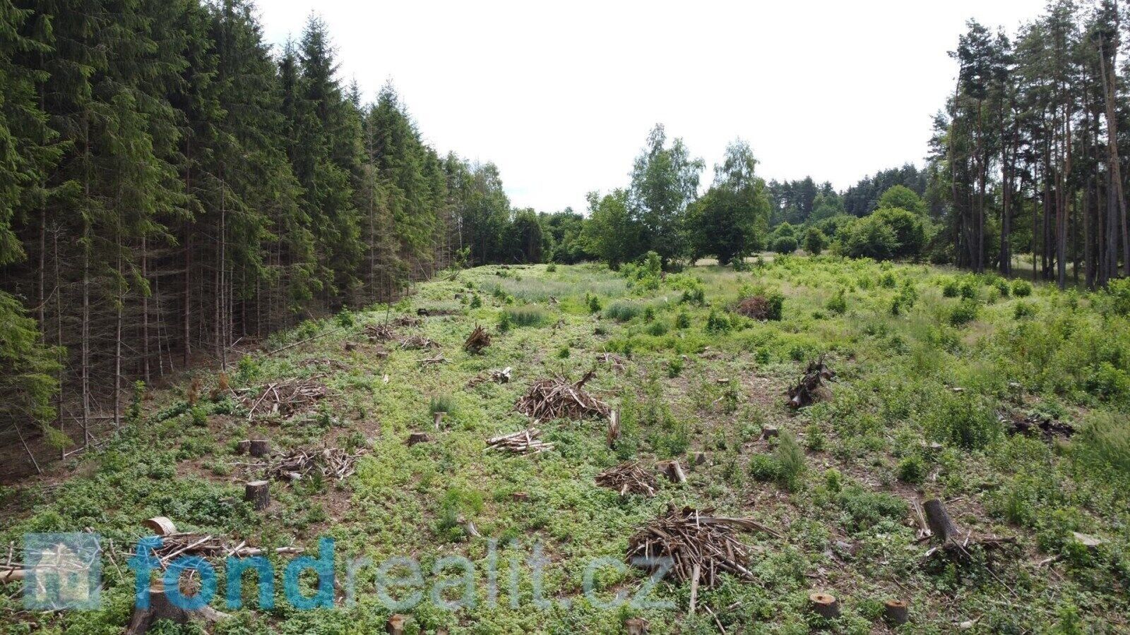 Prodej nemovitosti 10789 m² - foto 4
