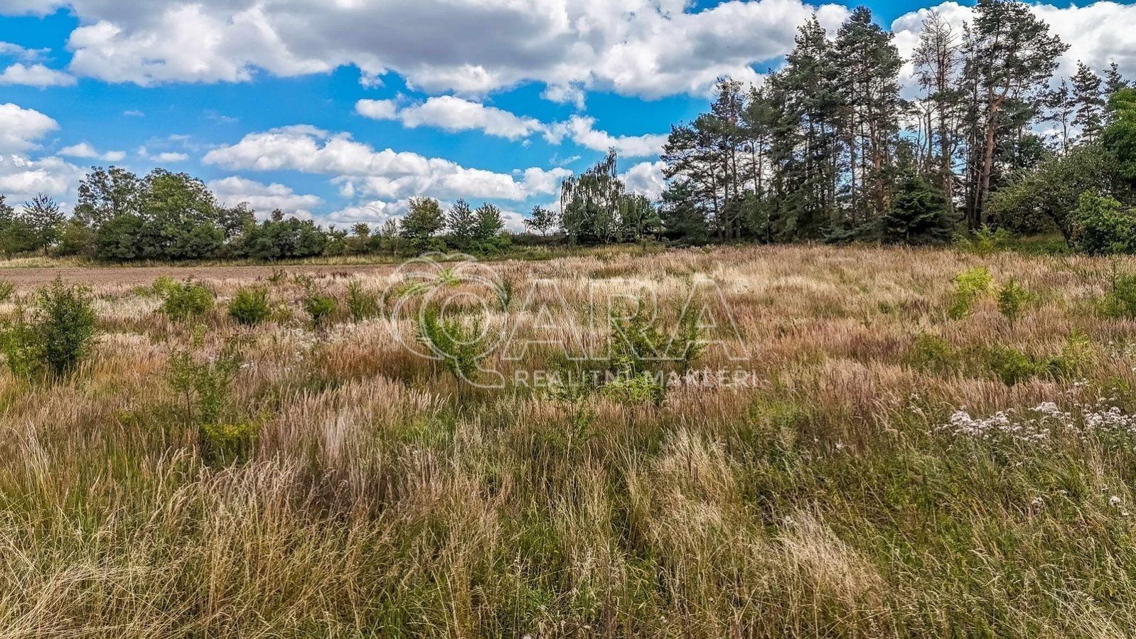 Prodej pozemku 1760 m² - foto 5