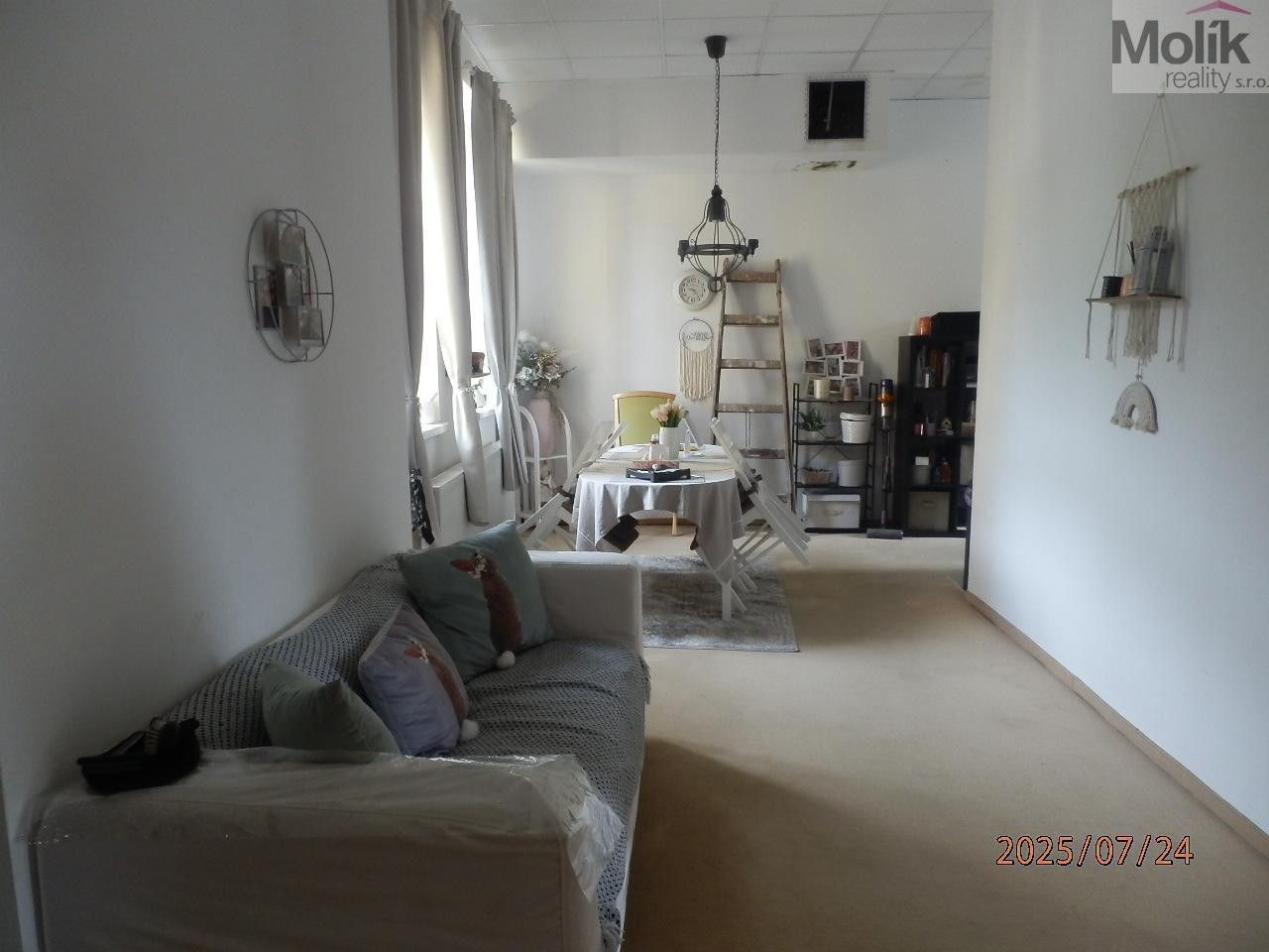 Prodej nemovitosti 1300 m² - foto 4