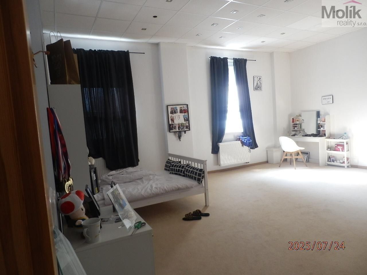 Prodej nemovitosti 1300 m² - foto 5