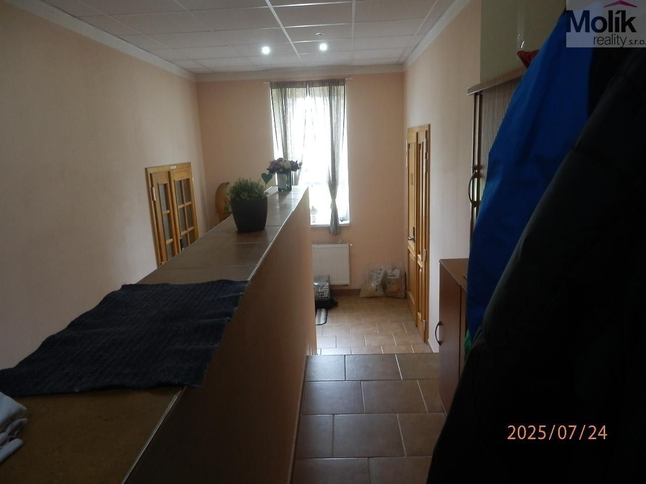 Prodej nemovitosti 1300 m² - foto 8