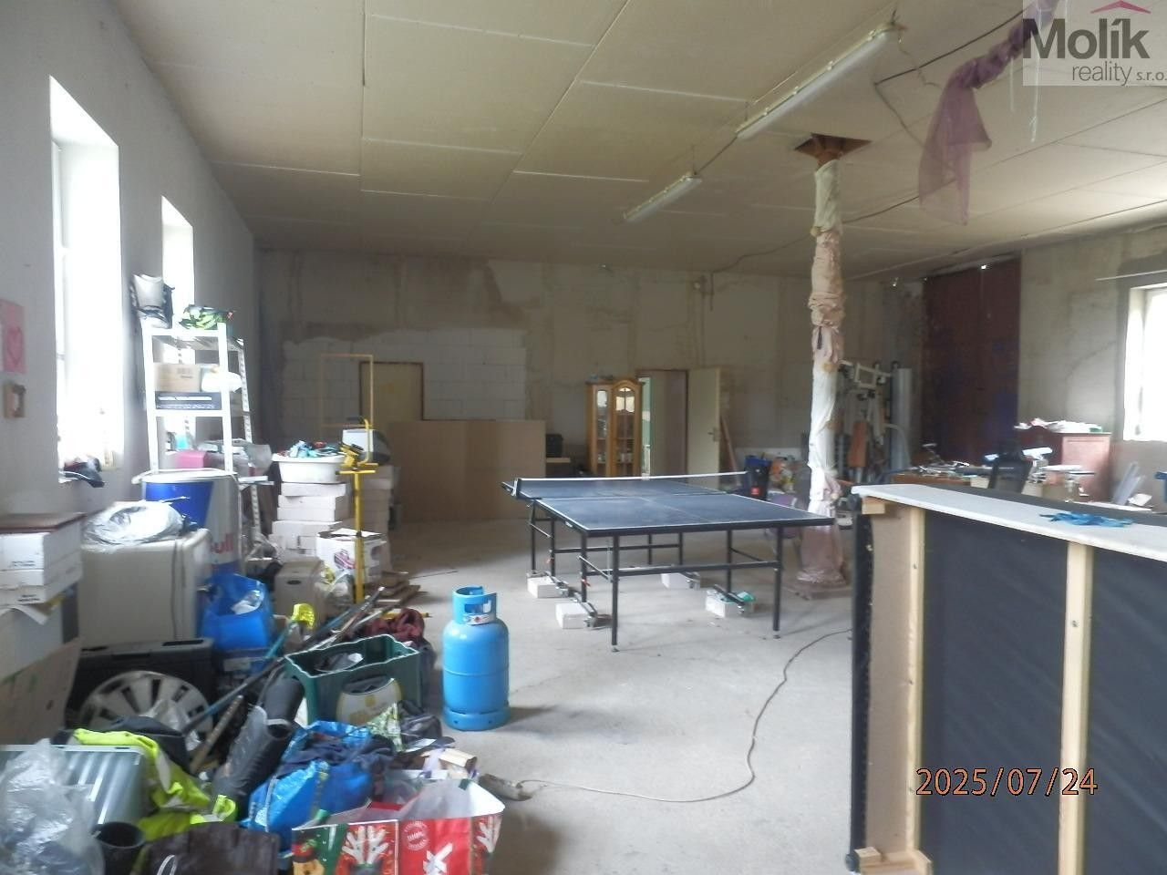 Prodej nemovitosti 1300 m² - foto 14