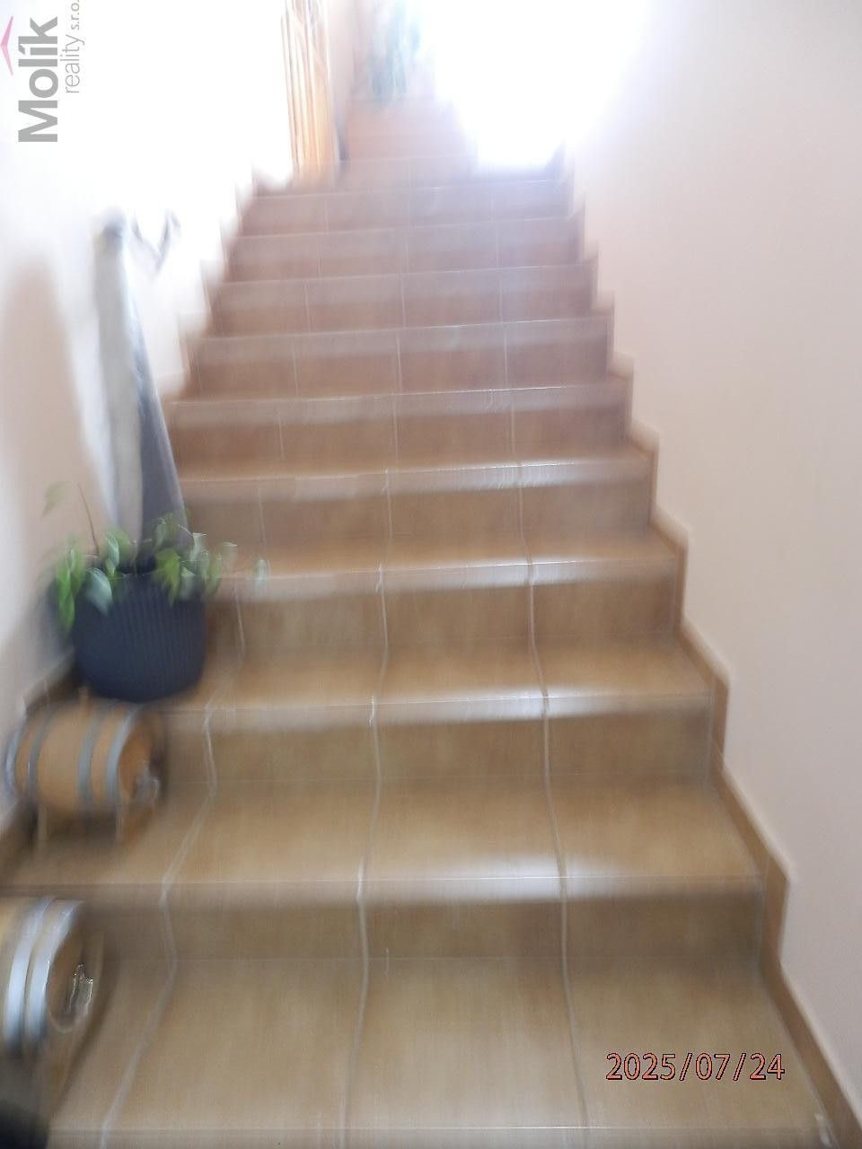 Prodej nemovitosti 1300 m² - foto 13