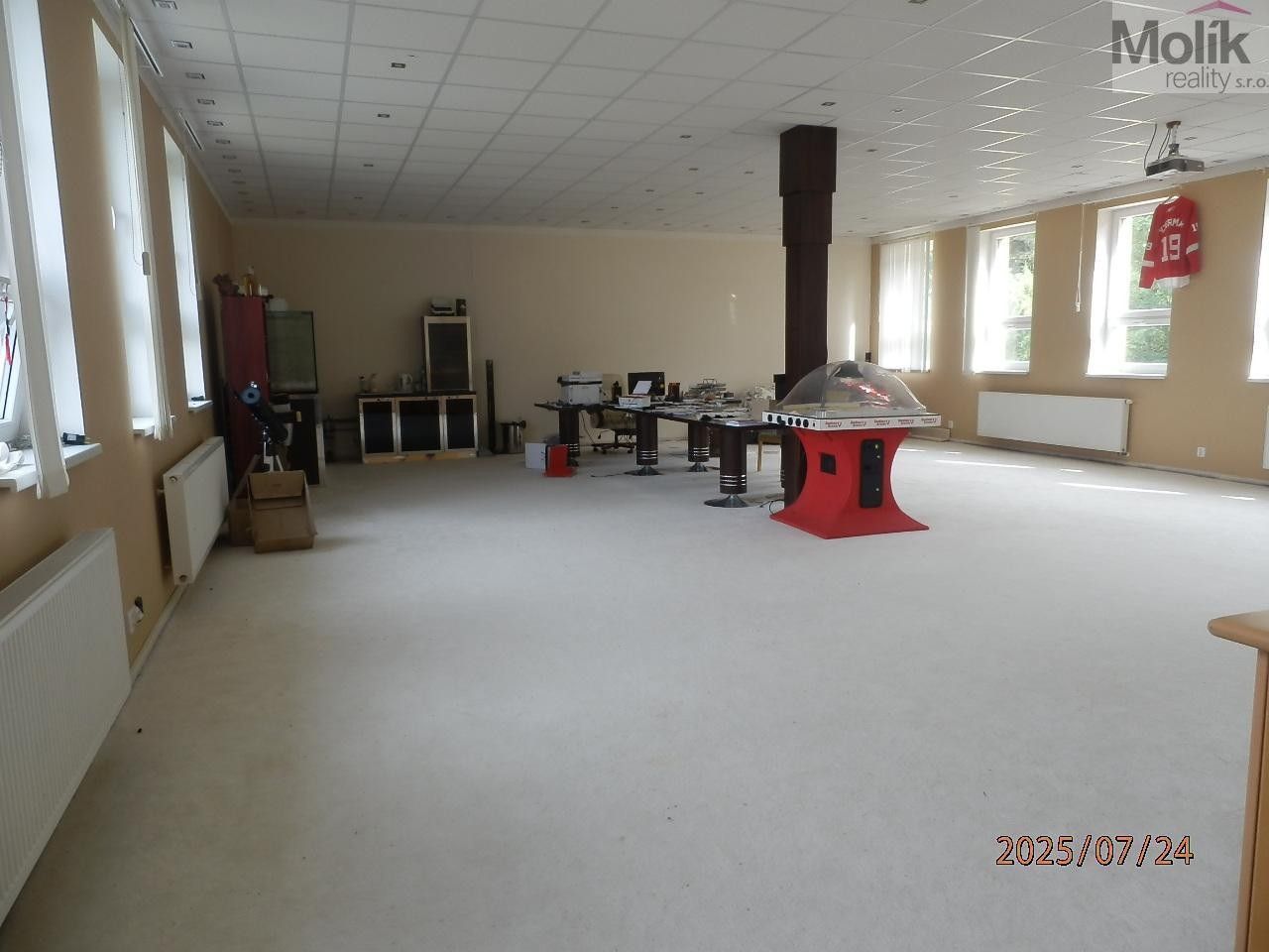 Prodej nemovitosti 1300 m² - foto 12